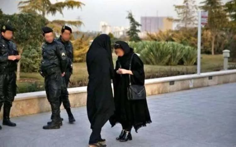 عقب نشینی آقای نایب رئیس در مقابل فشار افکار عمومی؛ نیکزاد بالاخره عذرخواهی کرد