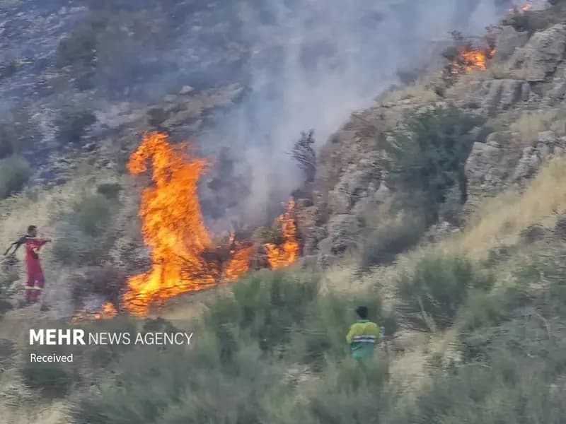 جنگل گلستان همچنان در آتش می‌سوزد