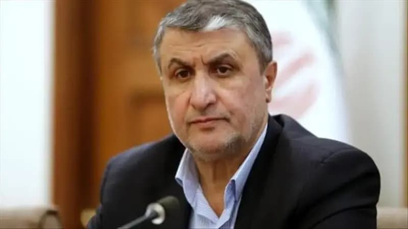 اسلامی: قبل از انقلاب هم آمریکایی‌ها پیشنهاد ایجاد کنسرسیوم را دادند، اما هیچ مزیتی نداشت و دارایی ایران را بردند