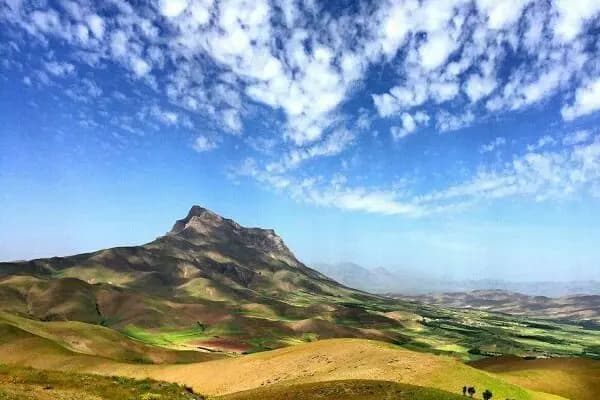 دعای عرفه؛ دانشگاه انسان‌سازی و جهاد فی سبیل الله