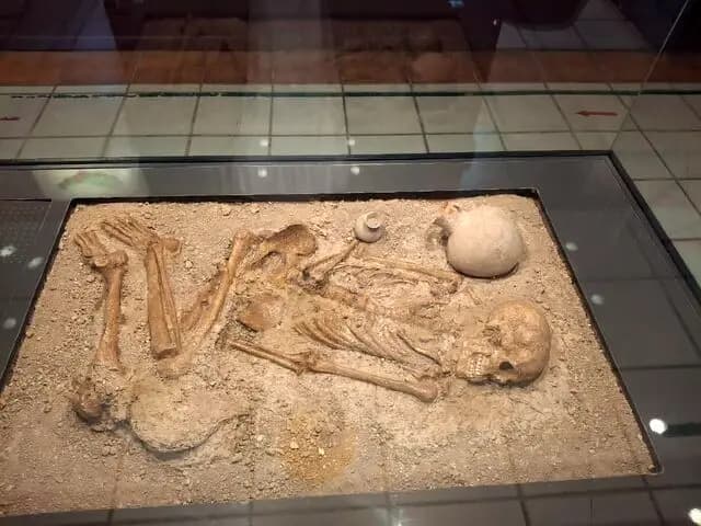 ترند