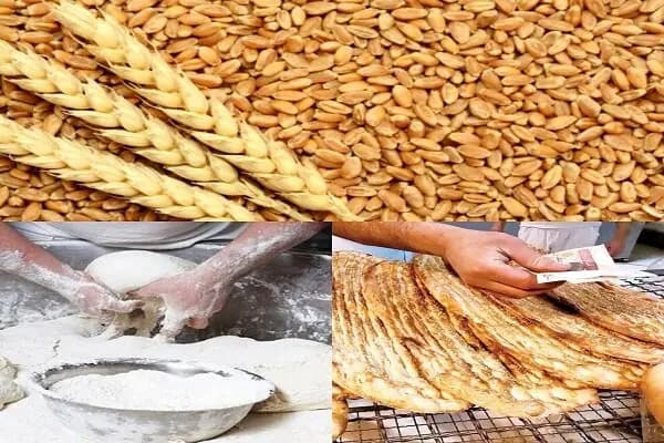 قیمت سکه و طلا امروز یکشنبه ۱۸ خرداد ۱۴۰۴