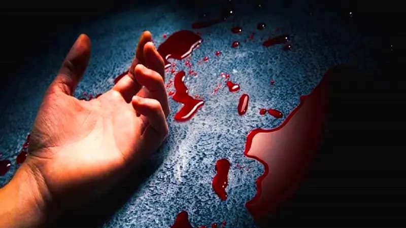 تشریح آخرین وضعیت پرونده قتل الهه حسین‌نژاد