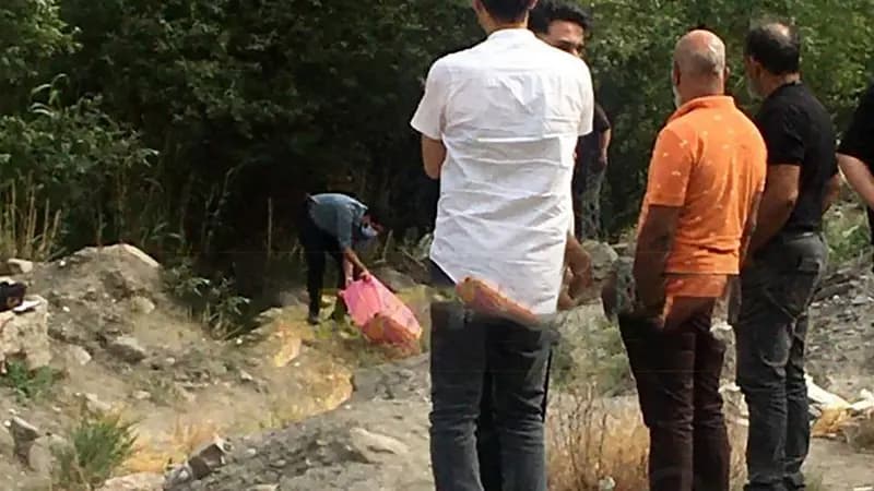 ترند