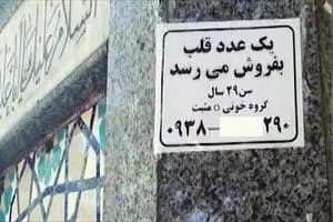 ترند