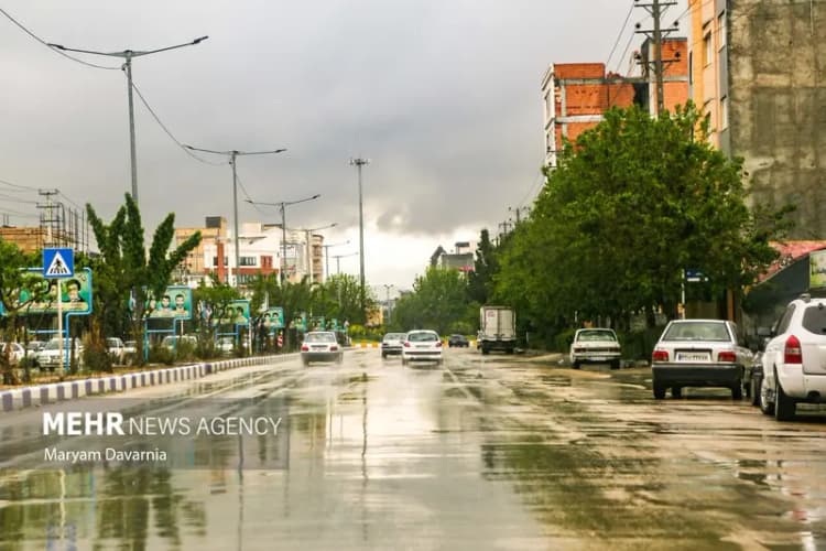 کاکارضا در آستانه خشکی / کشت برنج نفس رود خانه را می گیرد