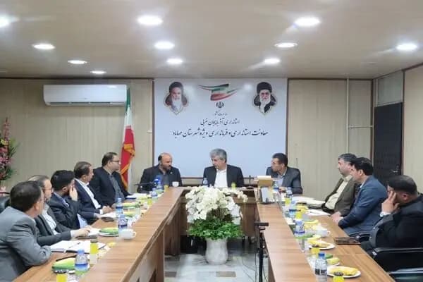 کشتارگاه صنعتی دام ایلام نیمه اول تیرماه شروع به فعالیت می‌کند