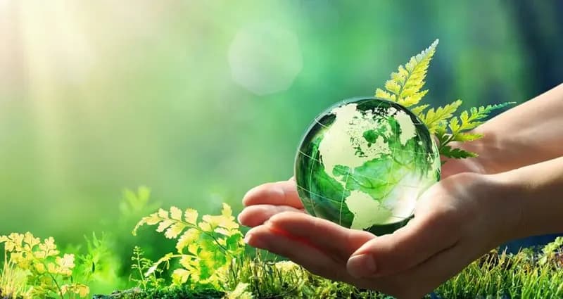 صیانت از منابع طبیعی نقش اساسی در توسعه پایدار ایفا می‌کند