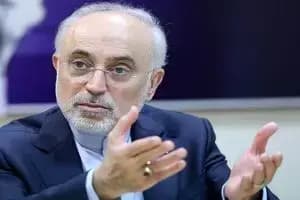باهنر: مشکلات ساختاری نظام با رفراندوم قابل اصلاح است/ وجود دو مجلس، تعادل و کارآمدی بیشتری در فرآیند قانونگذاری ایجاد می‌کند