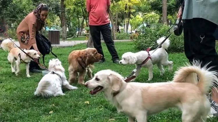 شناسایی 17 مخاطره اولویت‌دار تهران