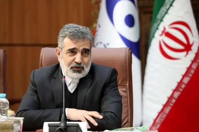 سخنگوی سازمان انرژی اتمی: فهرست اقدامات تقابلی ایران بعد از صدور احتمالی قطعنامه ضدایرانی در شورای حکام را آماده کردیم/ یک بخش از اقدامات ما فنی و بخشی دیگر، مربوط به نوع همکاری با آژانس است/ قطعا بعد از این موضوع آژانس نباید انتظار داشته باشد که همکاری صمیمانه ایران با آن‌ها، ادامه پیدا کند