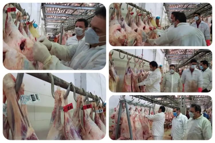 تالاب‌ گمیشان نفس تازه می‌کشد؛ ‌آب خزر در تالاب شمال
