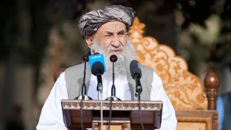 اف‌بی‌آی درباره ادعای ایلان ماسک علیه ترامپ سکوت کرد