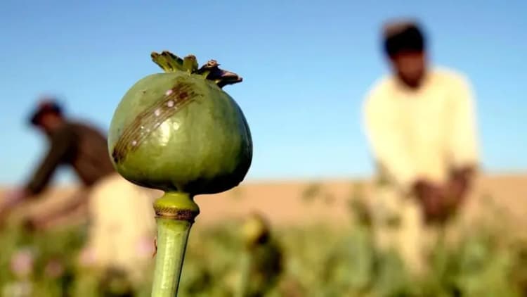 سوخو ۵۷‌های جدید در راه است 