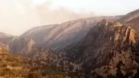 ترند