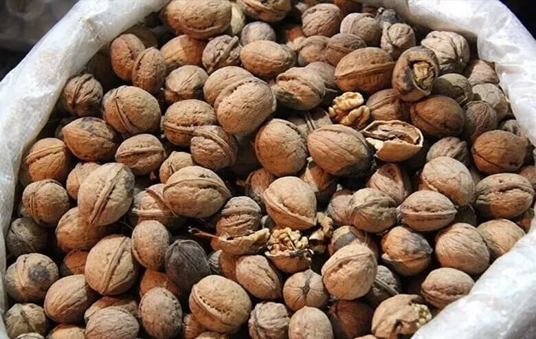 کشف محموله ۶ تُنی مغز گردوی قاچاق در کبودرآهنگ