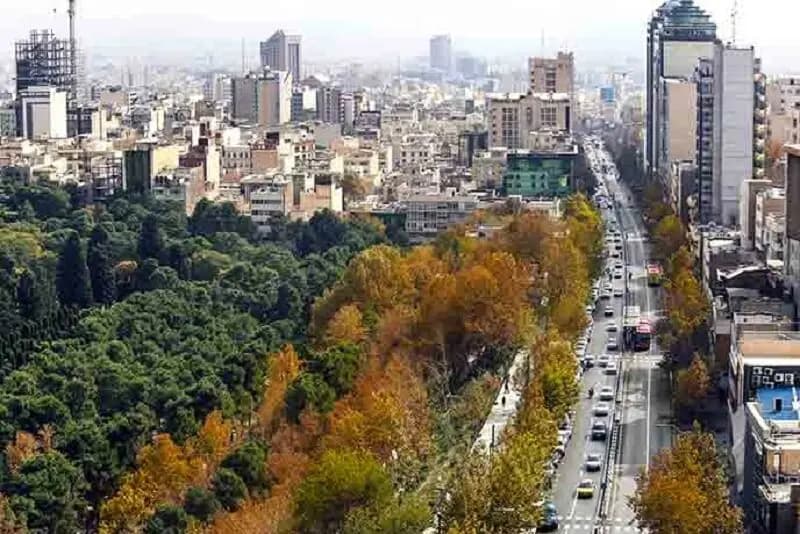 ترند