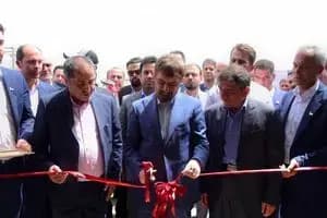 ترند