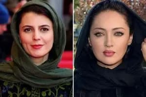رئیس فراکسیون زنان مجلس: چند سال دیگر مادری نیست که بخواهیم به او زمین یا خودرو بدهیم