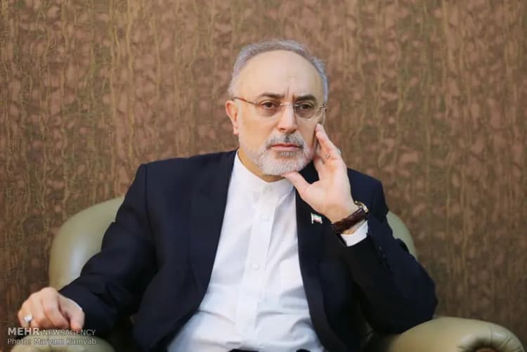 باهنر: مشکلات ساختاری نظام با رفراندوم قابل اصلاح است/ وجود دو مجلس، تعادل و کارآمدی بیشتری در فرآیند قانونگذاری ایجاد می‌کند