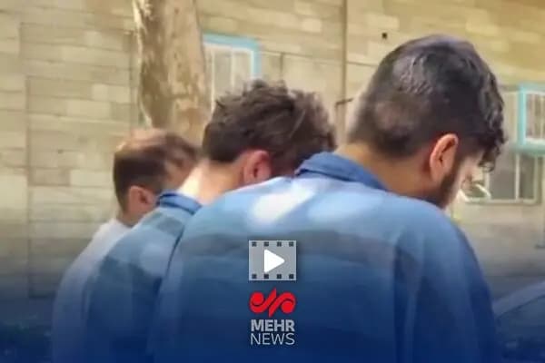 چرا شیر دادن به گربه‌ها اشتباه است؟
