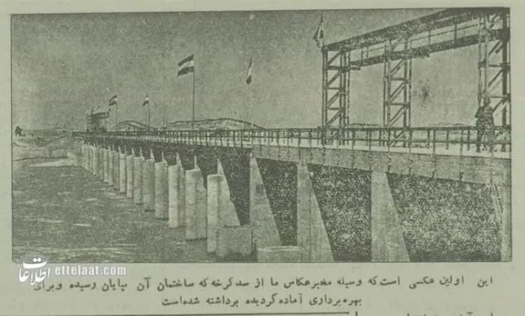 ترند