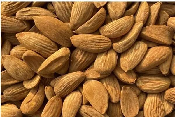 بیش از ۲۶ فرصت سرمایه‌گذاری گردشگری آماده جذب سرمایه‌گذار در همدان است
