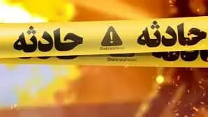 سگ‌گردانی در ایلام ممنوع شد