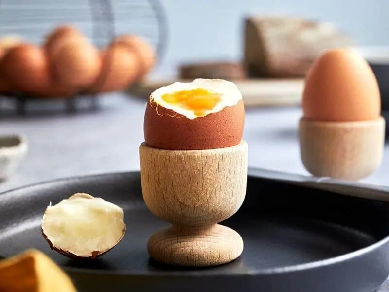 جایگزین‌های پر پروتئین برای تخم مرغ
