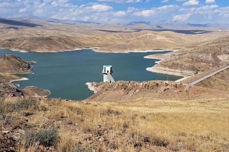 ترند