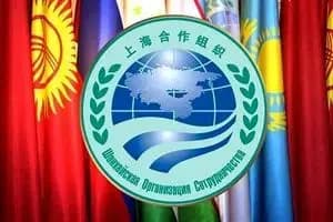 ثبت‌نام وام ۵۰ میلیونی بازنشستگان تأمین اجتماعی آغاز شد + شرایط، مزایا و لینک ثبت‌نام