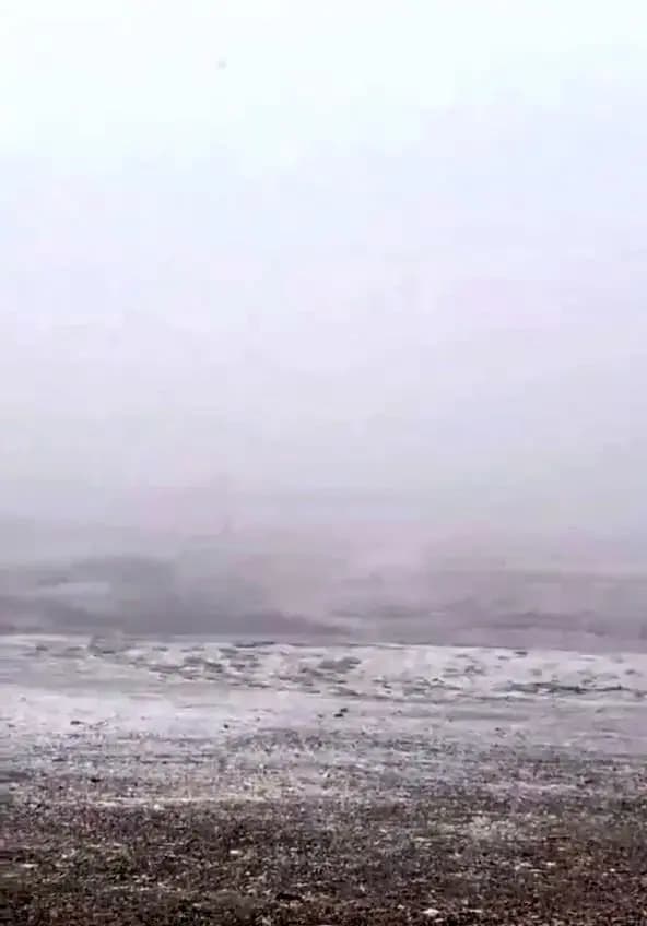 ویدئو/ بارش شدید برف در این منطقه تهران شنبه 17 خرداد