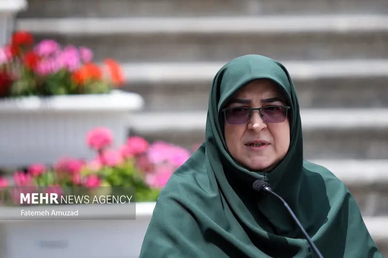 مهاجرانی: توجه دولت بر این است که اتباع غیر مجاز را برگرداند