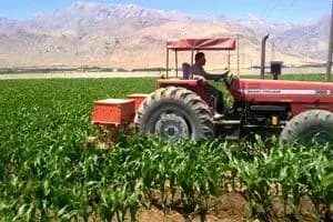 قیمت سکه، نیم‌سکه و ربع‌سکه امروز ۱۰ خرداد