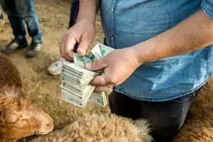 یک هشدار جدی/ روند رو به رشد مهاجرت نیروی متخصص نفت و انرژی از کشور