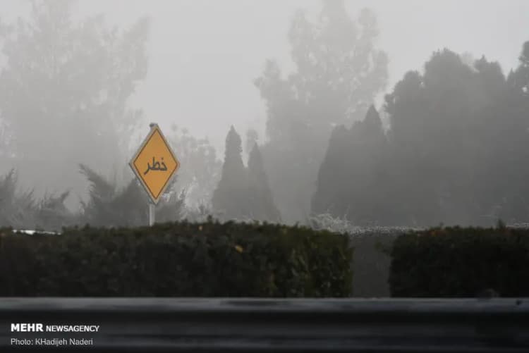 با اعلام دادستانی؛ سگ گردانی در این شهرها ممنوع شد