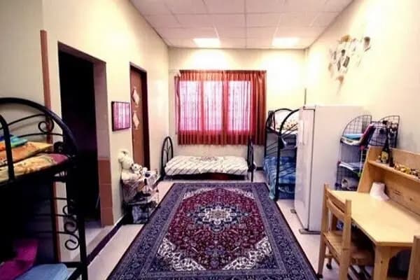 «مالیخولیا»؛ یکی از تلخ‌ترین آثار فون‌تریه