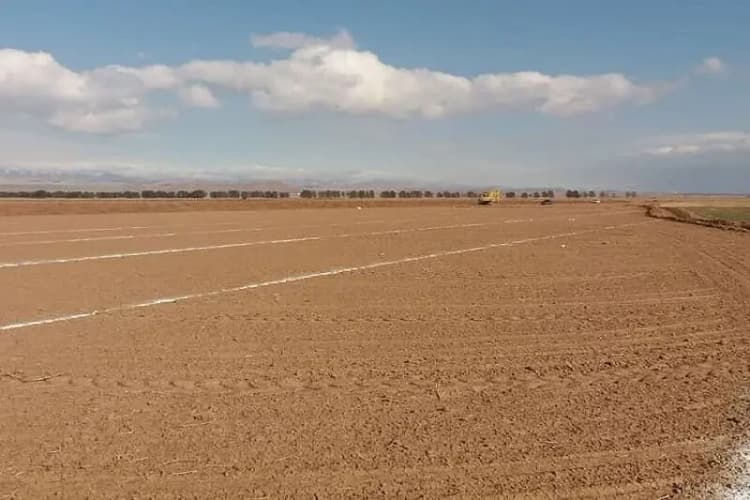 افزایش سرعت ورزش باد و افزایش ارتفاع موج برای دریای عمان