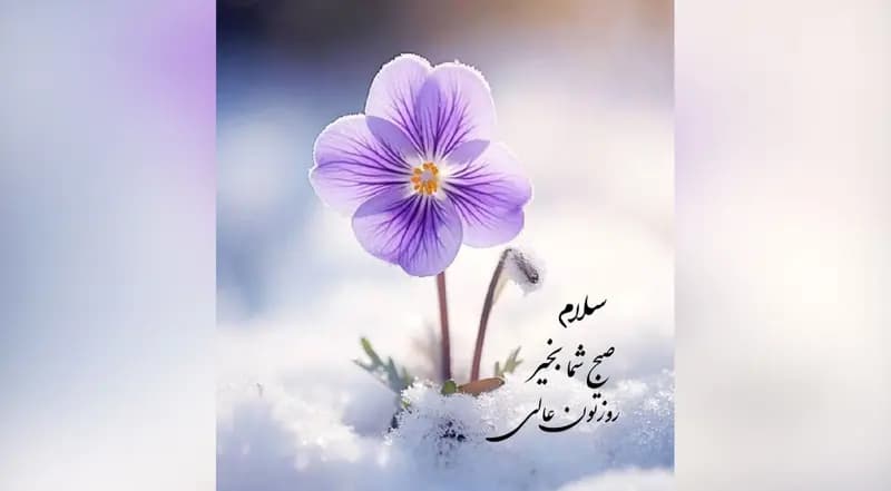 فال و طالع بینی روزانه 16 خرداد 