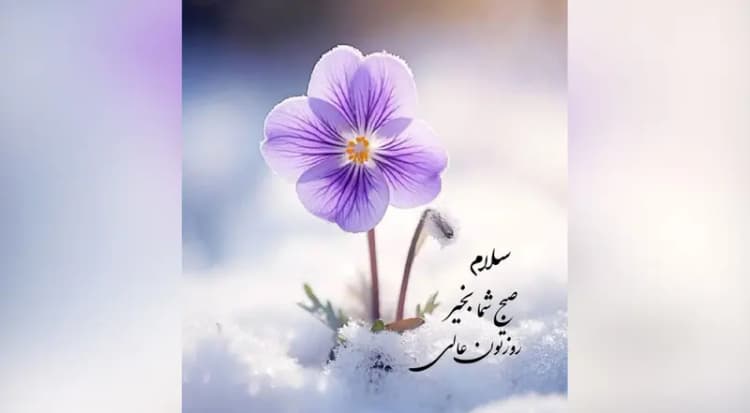 عکس سفر در ایام /  شاه و فرح در مانور نیروهای ویژه هوابرد در سد کرج، سال ۱۳۴۲