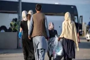 ویدیو/ غلامرضا حداد، استاد روابط بین الملل دانشگاه علامه: ممکن است به یک توافق موقت با امریکا برسیم، اما مادامی که به عادی‌سازی روابط منجر نشود، بی‌ثبات خواهد بود