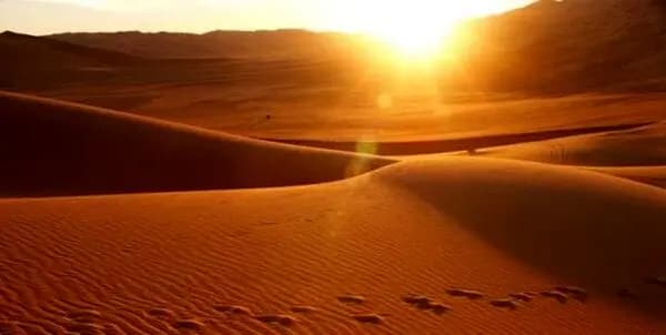 ترند