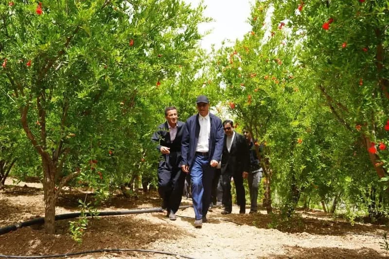 دشه، الگویی موفق در توسعه روستایی و بازگشت جمعیت است