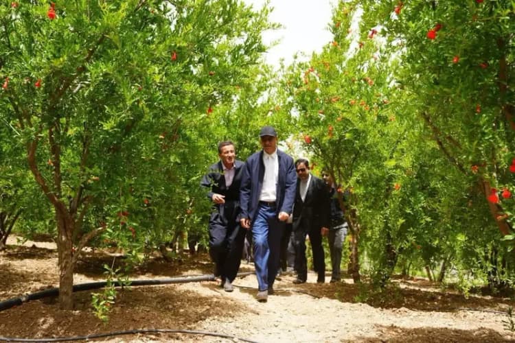 558 زندانی در قزوین تحت پوشش سوادآموزی قرار گرفتند