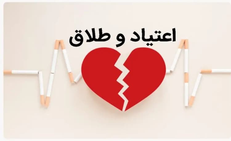 امضای تفاهم‌نامه همکاری‌های بندری و لجستیکی با ازبکستان
