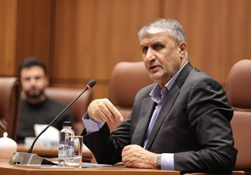 اسلامی: ایران به تعهدات پادمانی و NPT پایبند است
