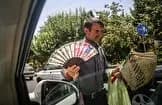 ترند