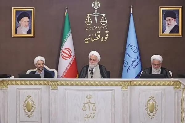 توله خرس کلینیک حیات وحش پردیسان ناپدید شد