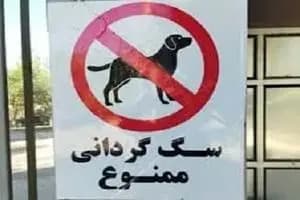 SMEها؛ ستون اصلی صندوق زیرساخت هوش مصنوعی