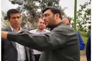 ترند